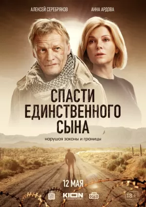 Спасти единственного сына (1 сезон) 1-6 серия скачать торрент